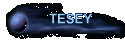 TESEY